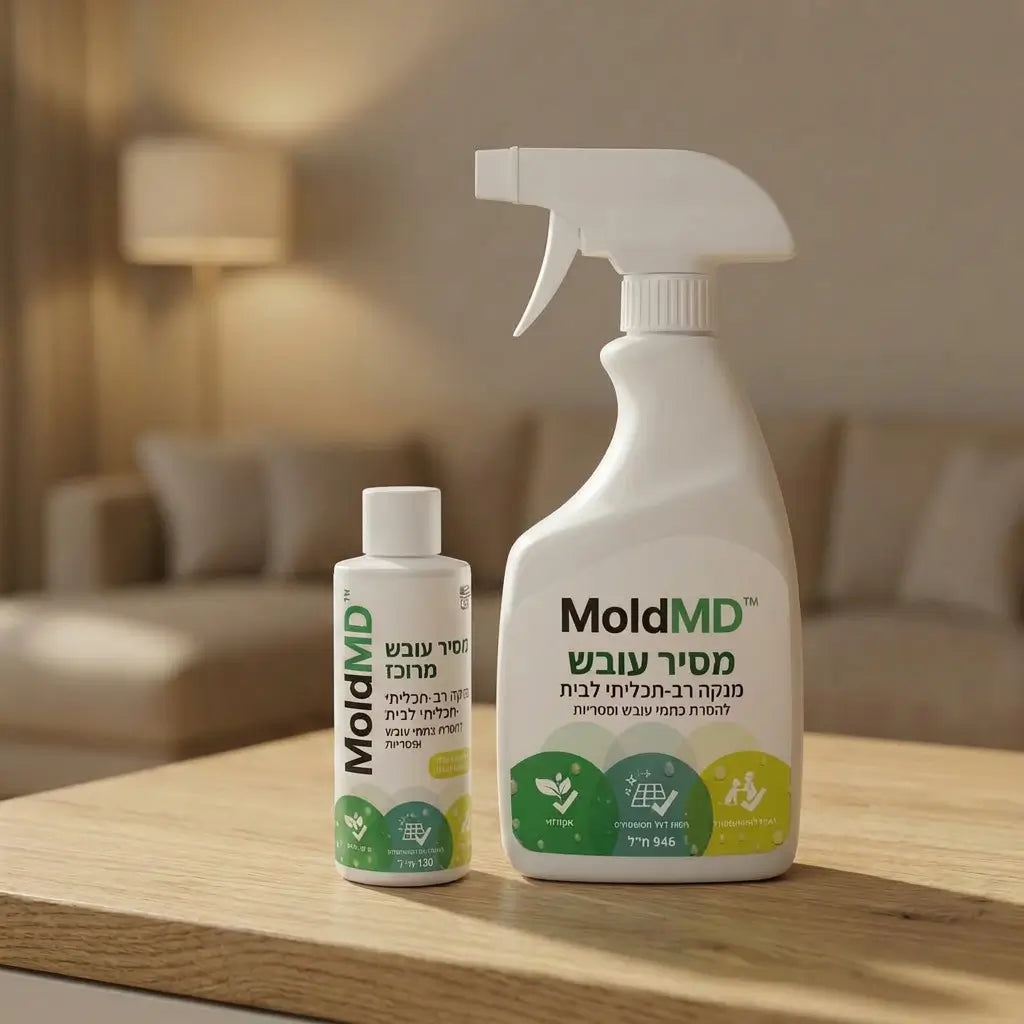 MoldMD