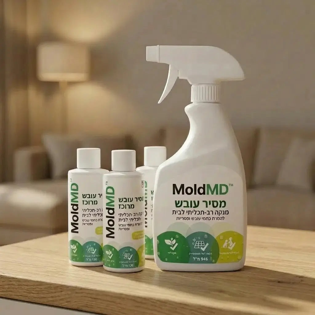 MoldMD